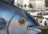 Wasserfest-2014-105-web